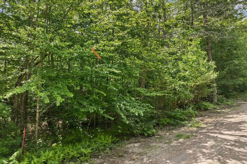 005D Phineas Graves Road Tuftonboro NH 03816