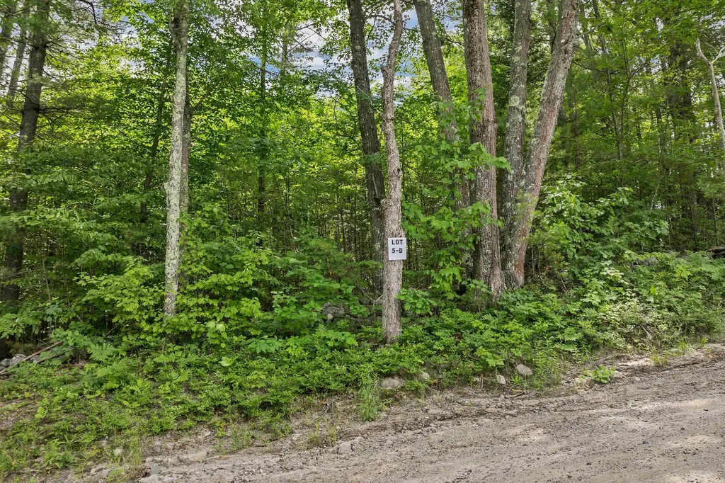 005D Phineas Graves Road Tuftonboro NH 03816