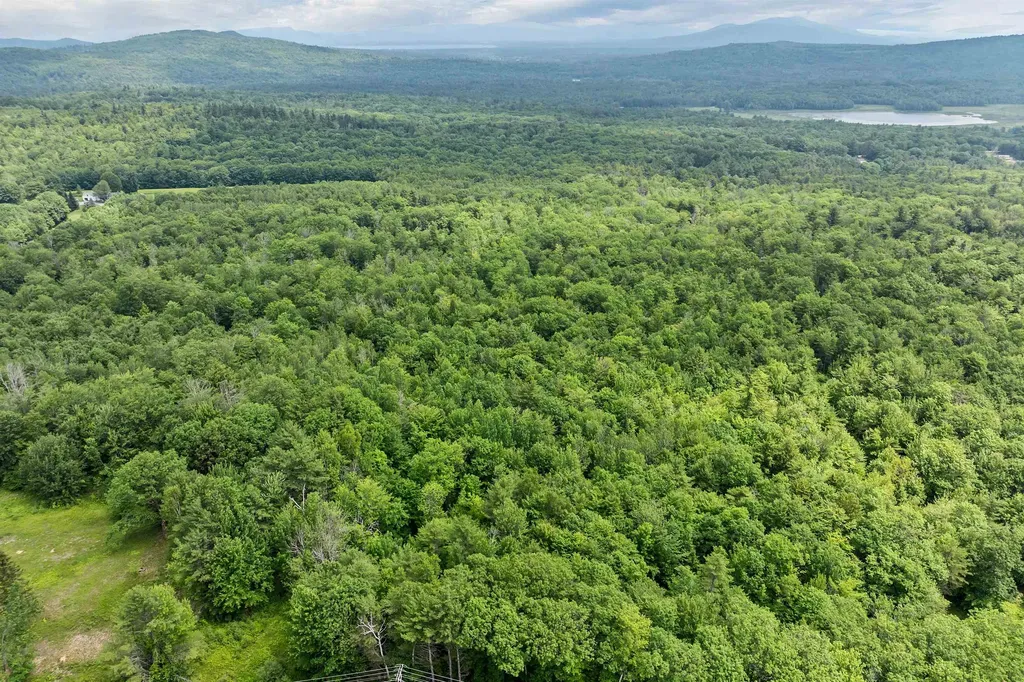 005D Phineas Graves Road Tuftonboro NH 03816