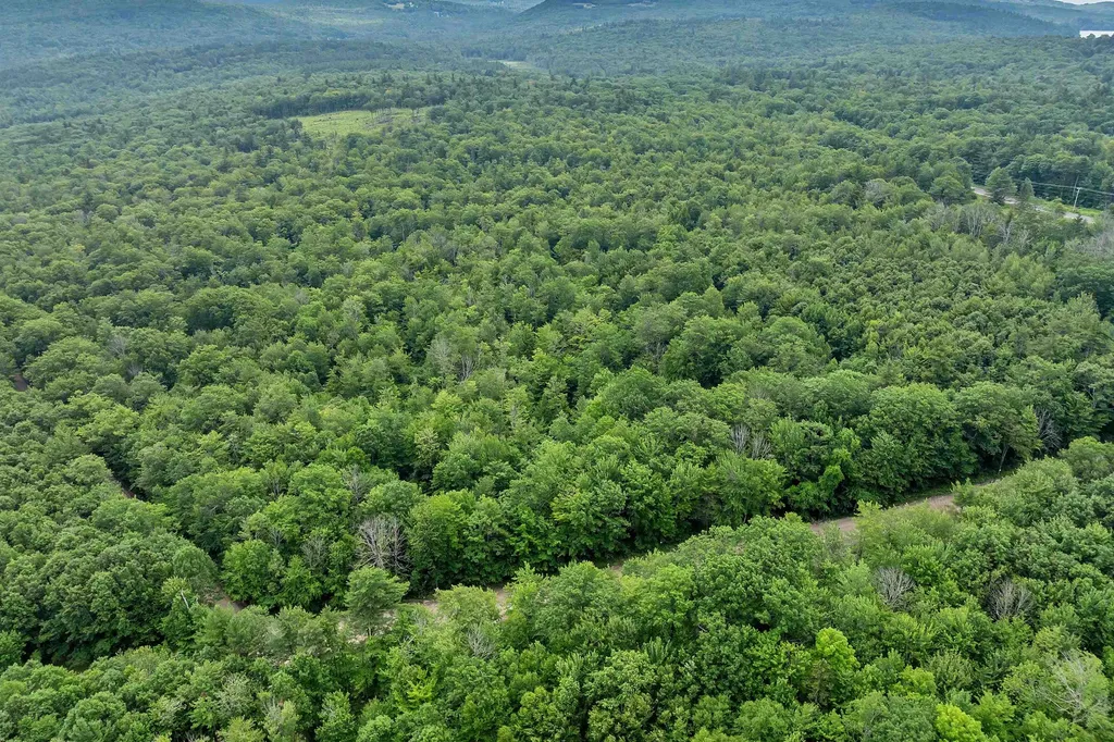 005D Phineas Graves Road Tuftonboro NH 03816