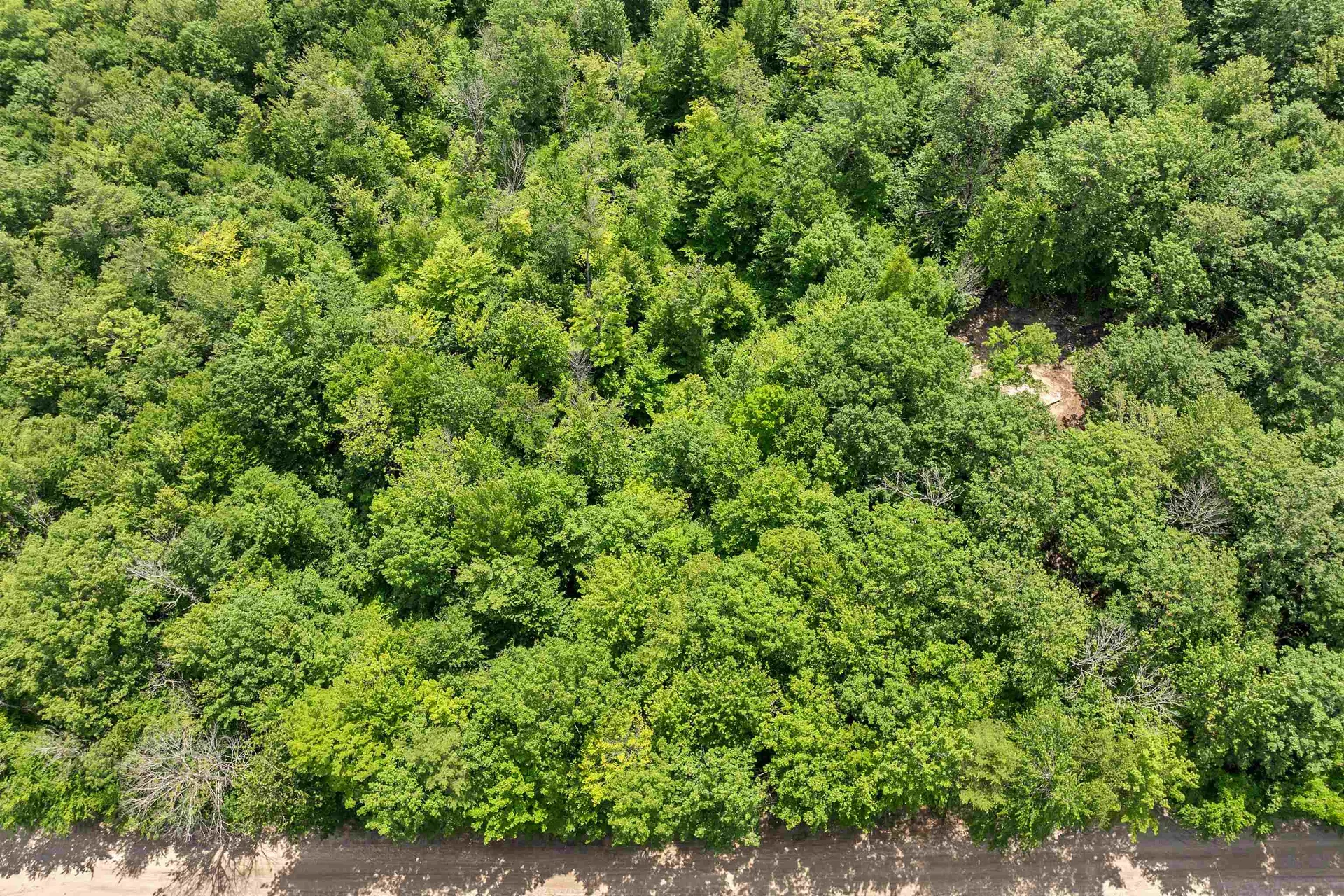 005D Phineas Graves Road Tuftonboro NH 03816