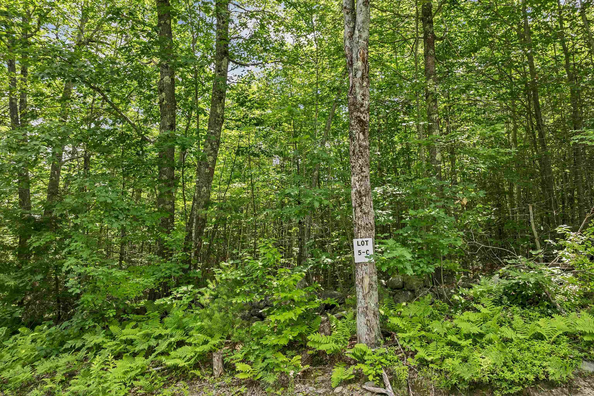 005D Phineas Graves Road Tuftonboro NH 03816