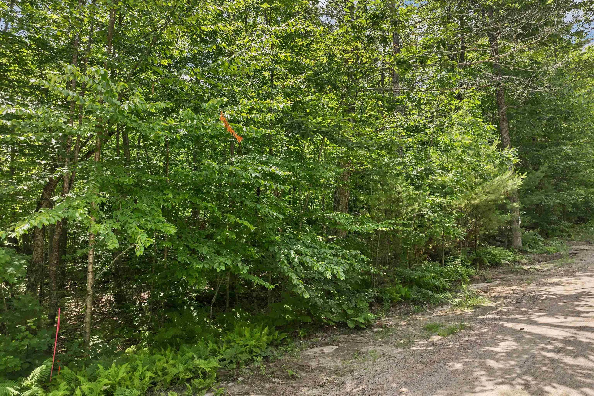 005D Phineas Graves Road Tuftonboro NH 03816