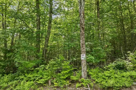 005D Phineas Graves Road Tuftonboro NH 03816