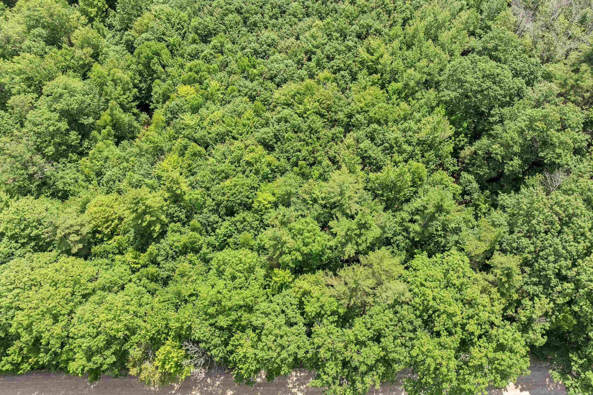 005 Phineas Graves Road Tuftonboro NH 03816