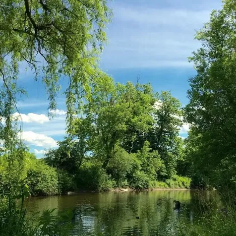 6311 Vt Route 7a Sunderland VT 05250