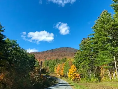 6311 Vt Route 7a Sunderland VT 05250