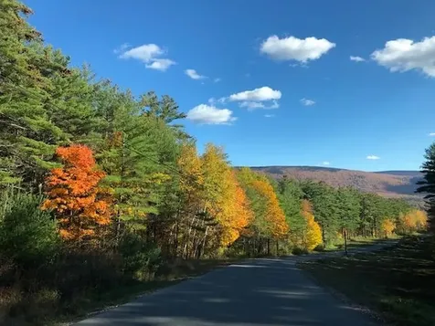 6311 Vt Route 7a Sunderland VT 05250