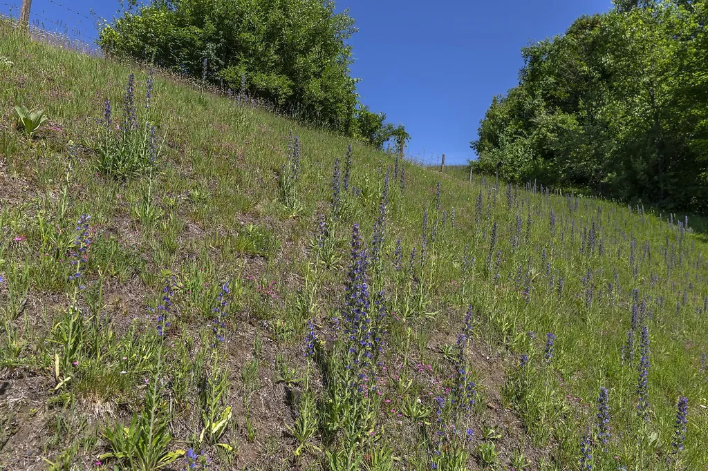 616 Rose Hill Road Woodstock VT 05091