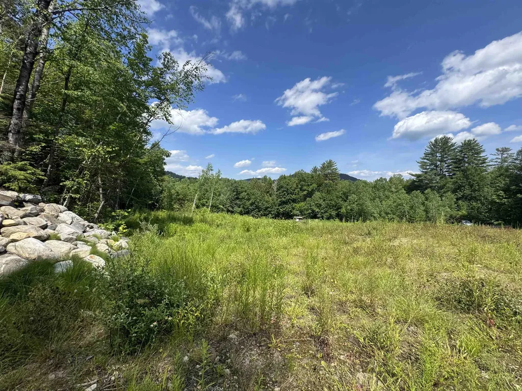 0 Remington Road Chester VT 05143