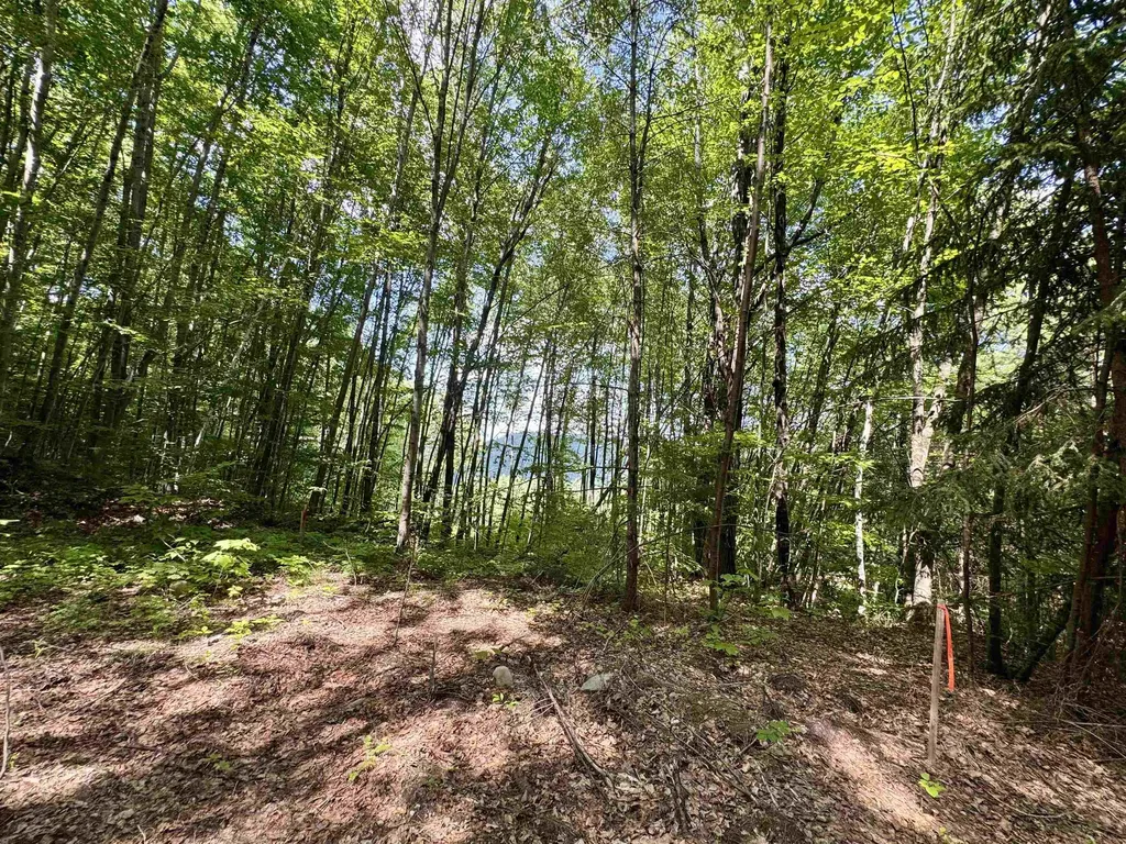 0 Remington Road Chester VT 05143