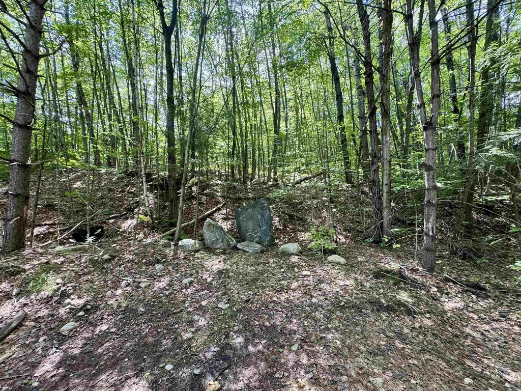 0 Remington Road Chester VT 05143