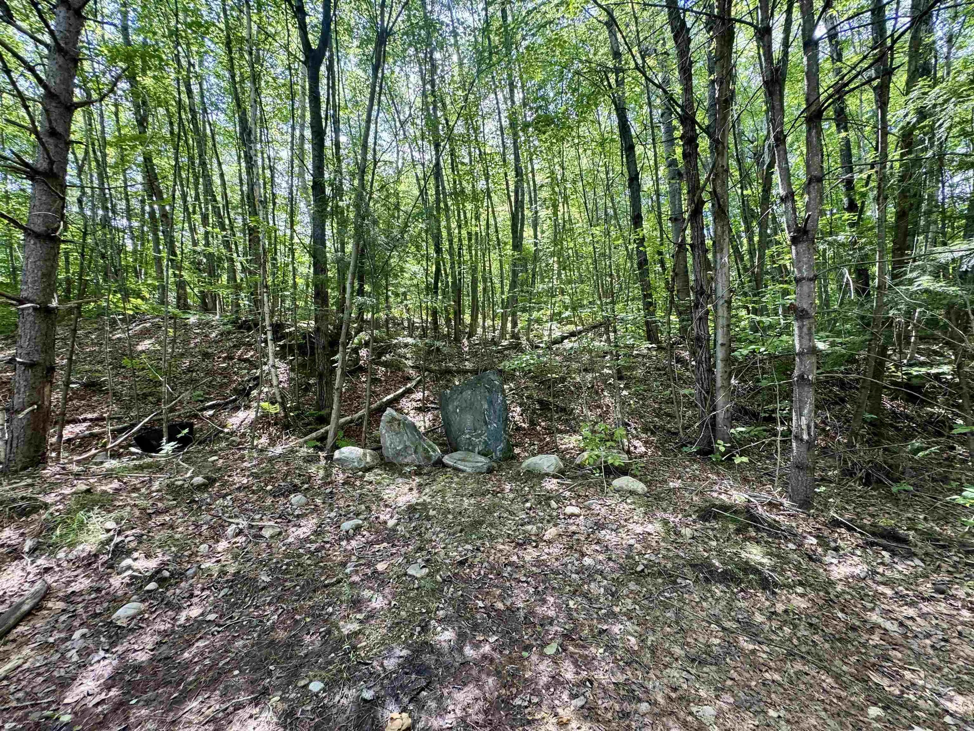 0 Remington Road Chester VT 05143