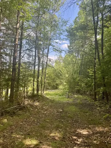 0 Remington Road Chester VT 05143