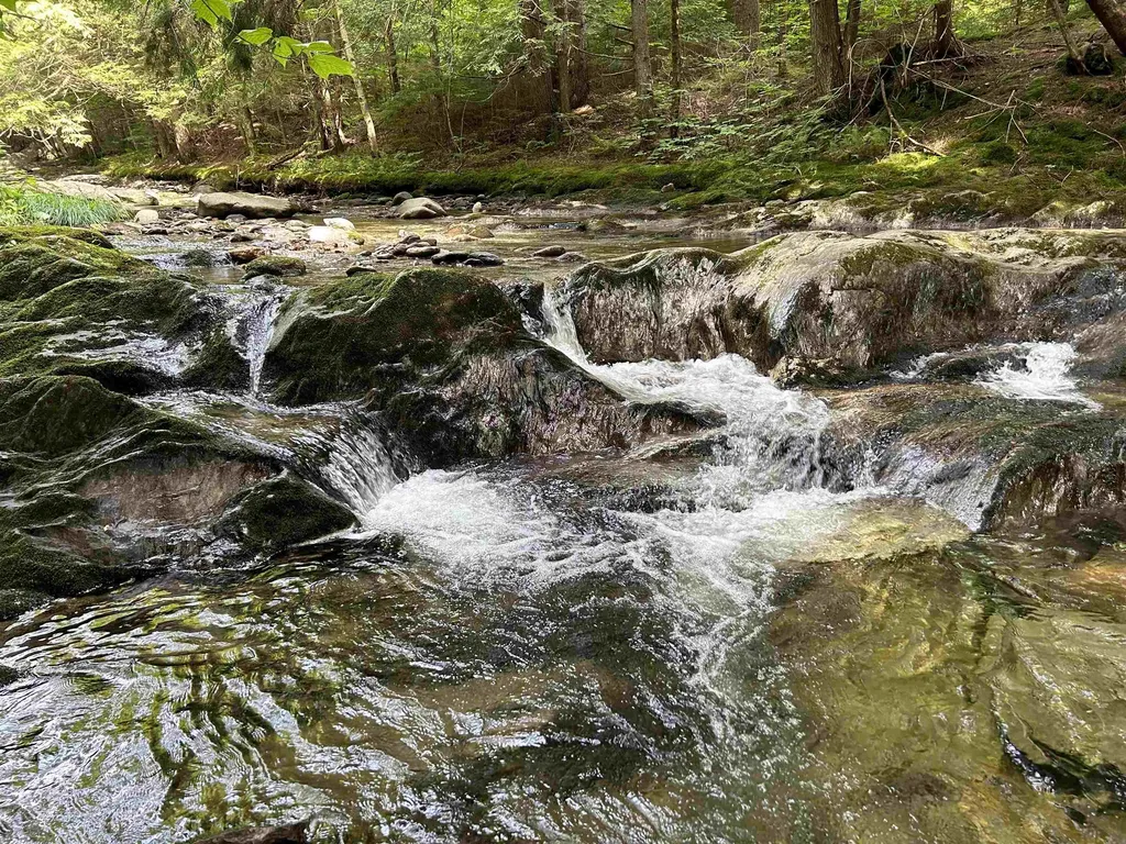 3324 Mud City Loop Morristown VT 05661