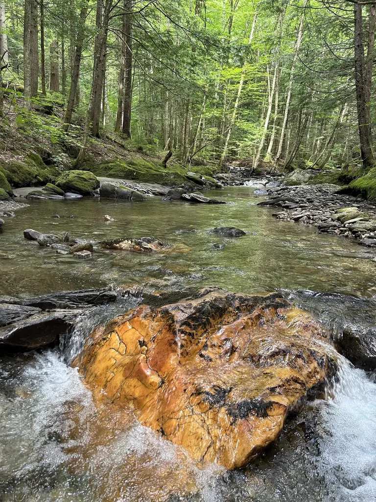 3324 Mud City Loop Morristown VT 05661