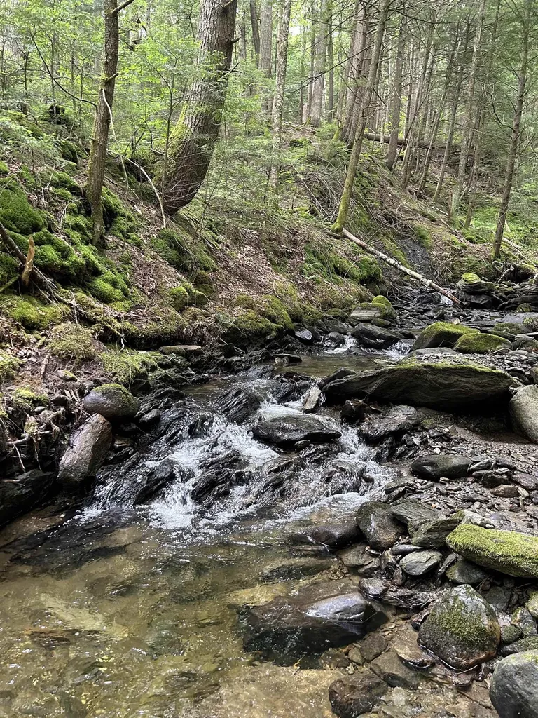 3324 Mud City Loop Morristown VT 05661