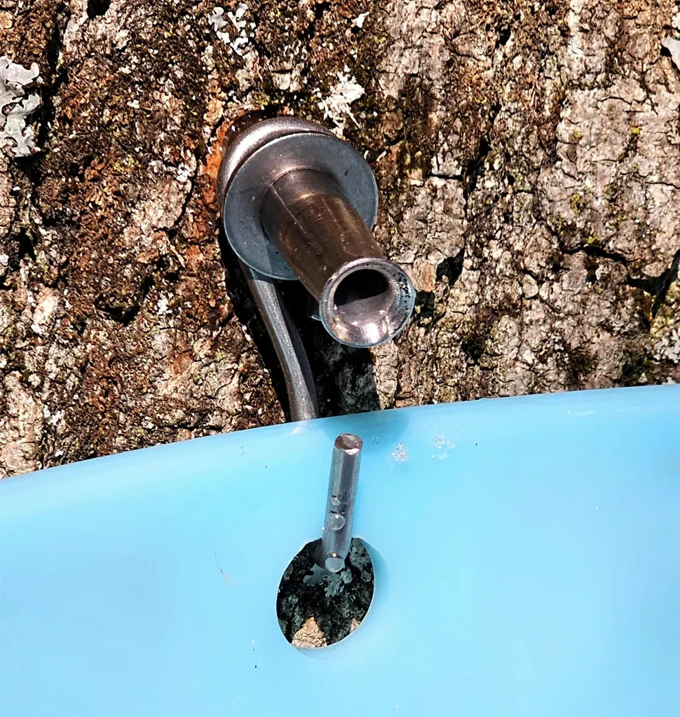 3324 Mud City Loop Morristown VT 05661