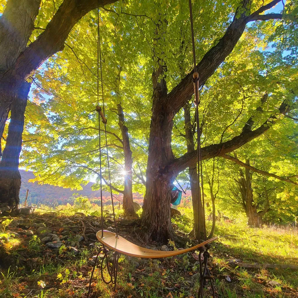 3324 Mud City Loop Morristown VT 05661