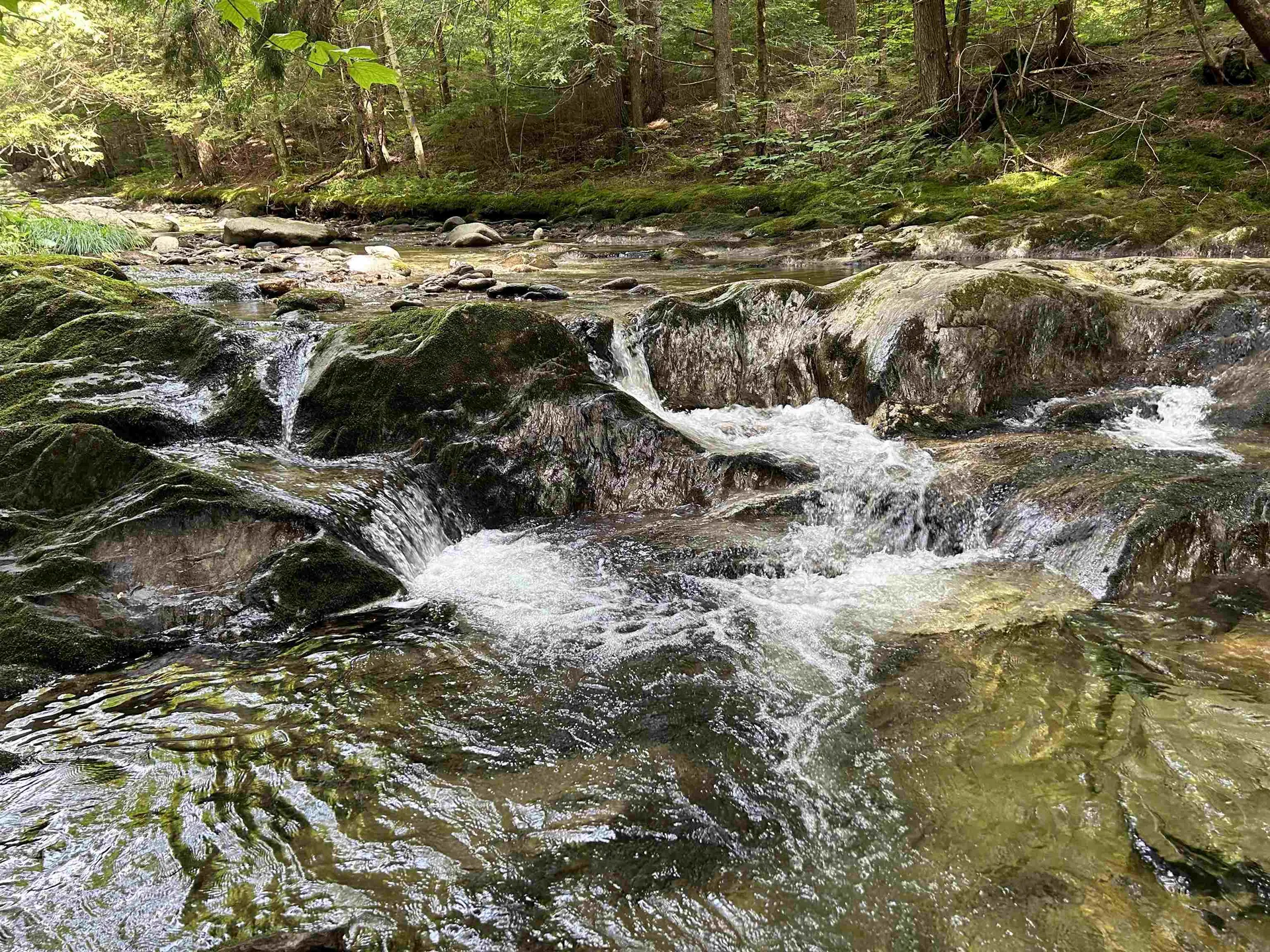 3324 Mud City Loop Morristown VT 05661