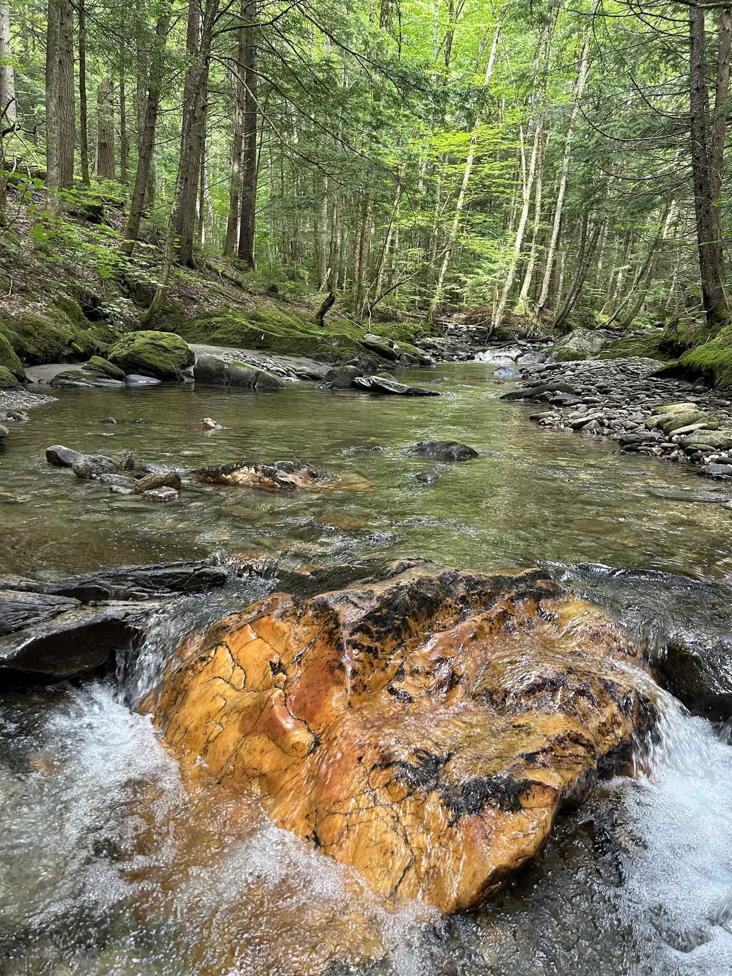 3324 Mud City Loop Morristown VT 05661