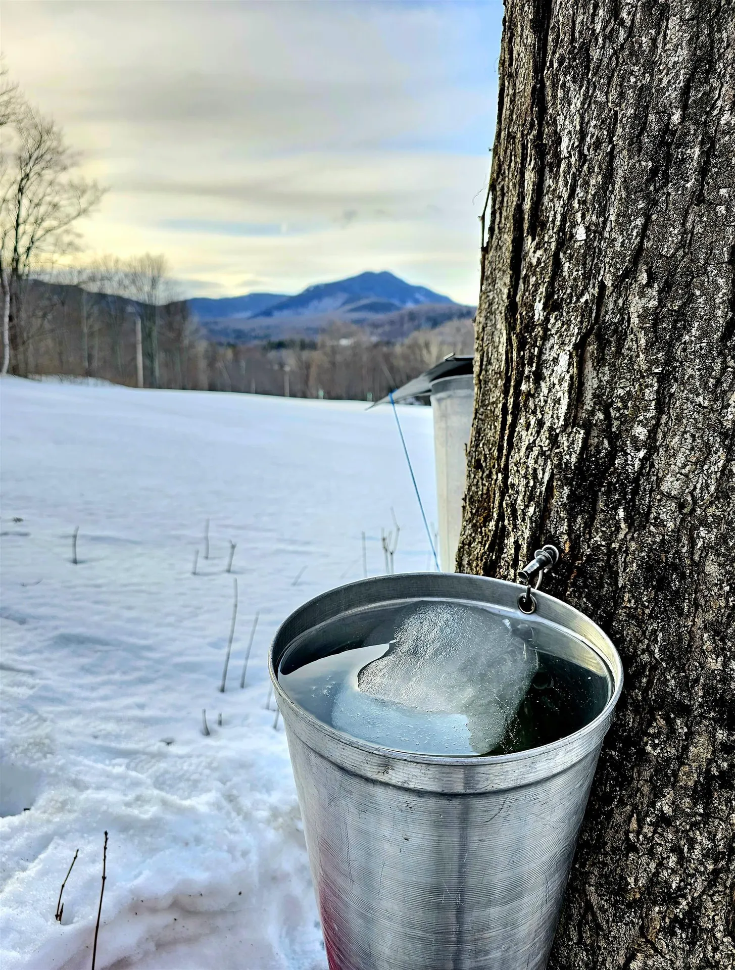 3324 Mud City Loop Morristown VT 05661