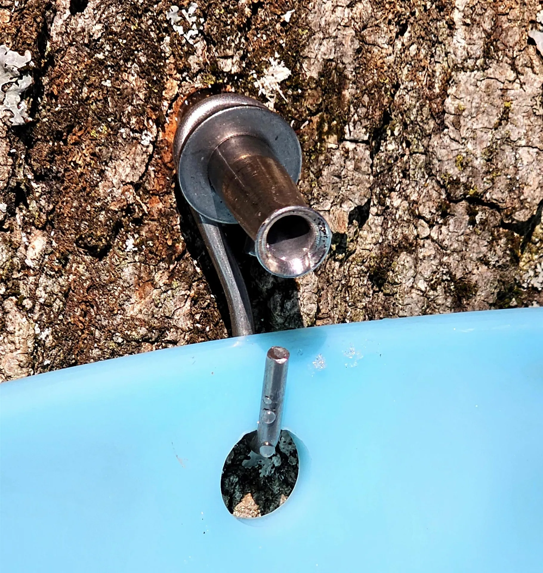 3324 Mud City Loop Morristown VT 05661