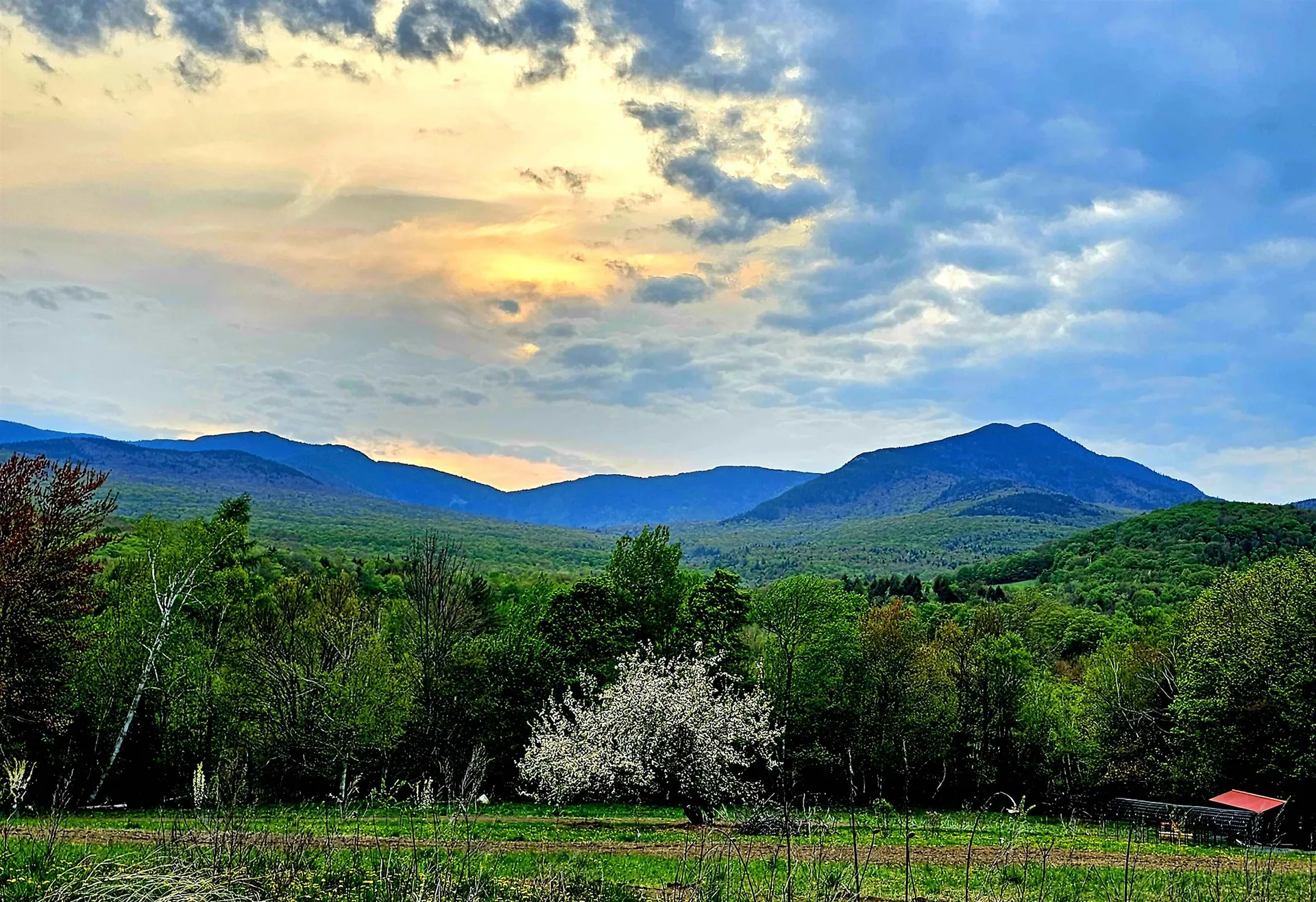 3324 Mud City Loop Morristown VT 05661