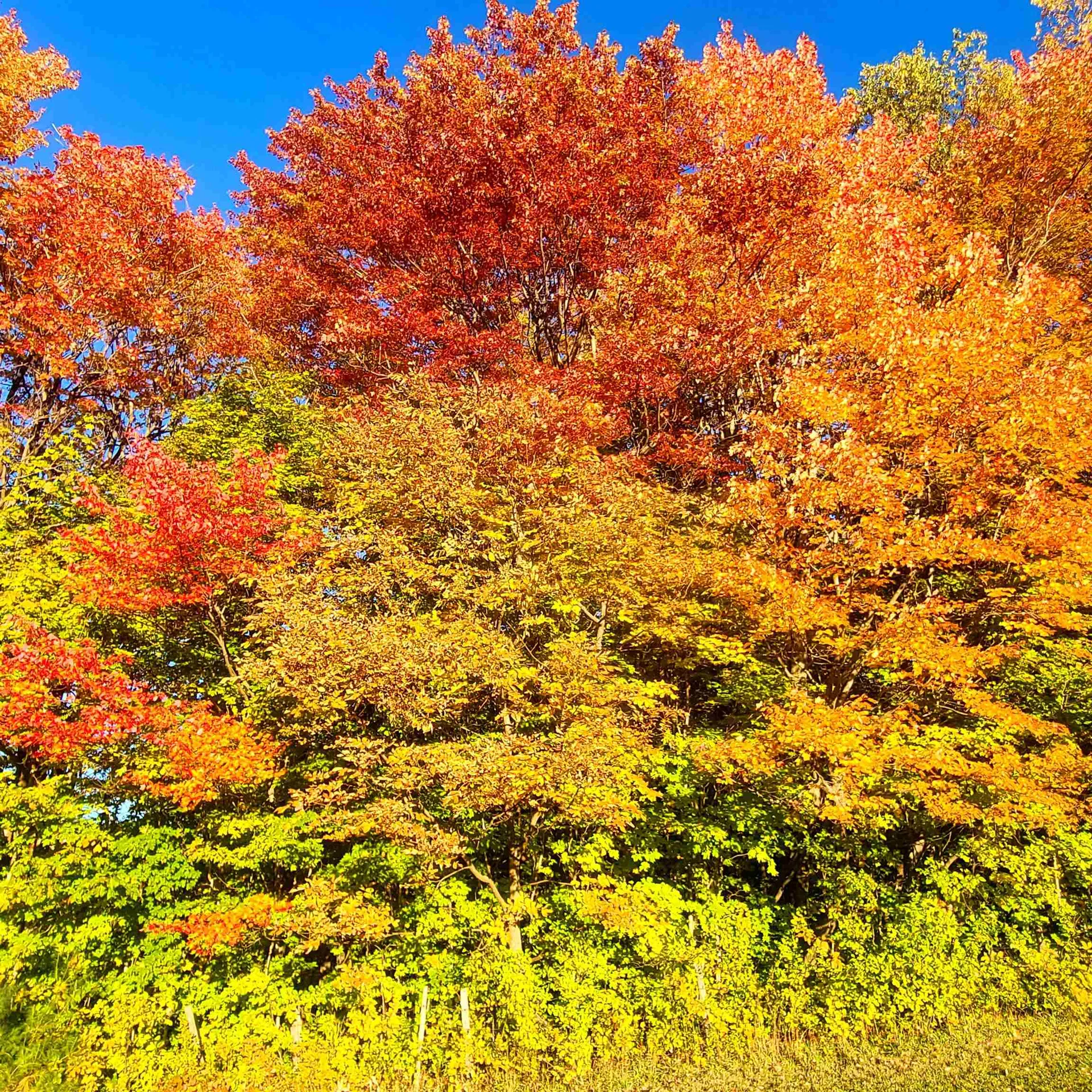 3324 Mud City Loop Morristown VT 05661