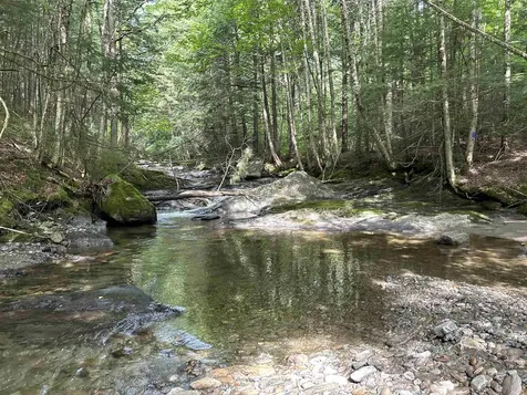 3324 Mud City Loop Morristown VT 05661