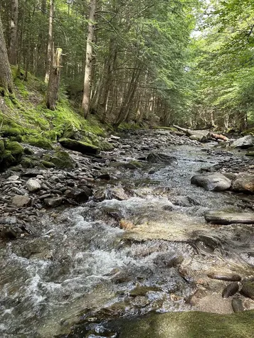 3324 Mud City Loop Morristown VT 05661