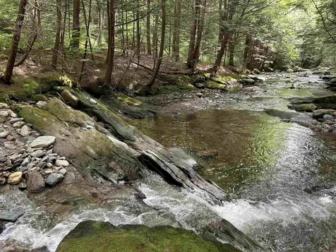 3324 Mud City Loop Morristown VT 05661