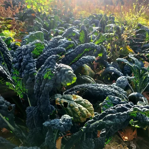 3324 Mud City Loop Morristown VT 05661