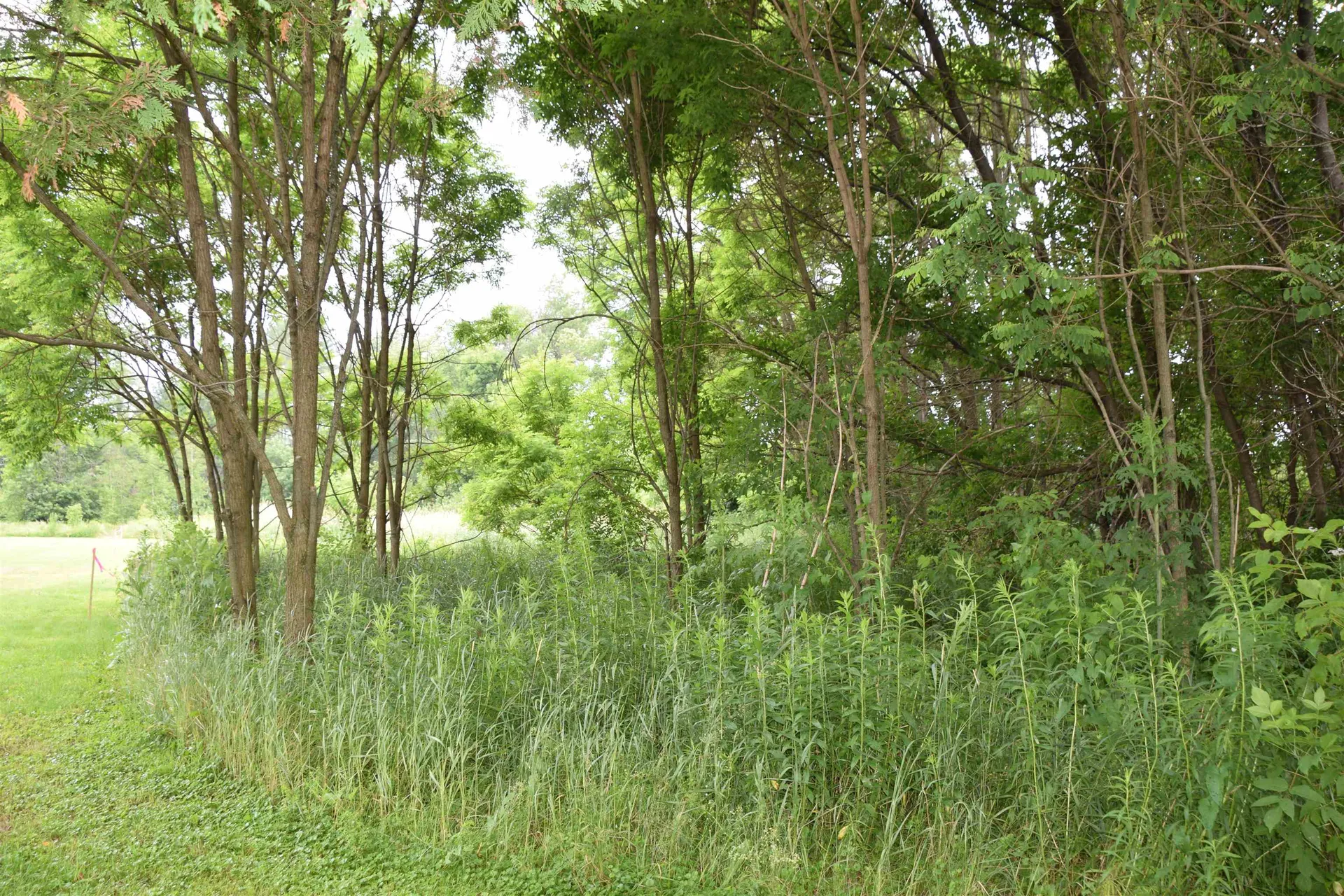 North Main Street Lancaster NH 03584