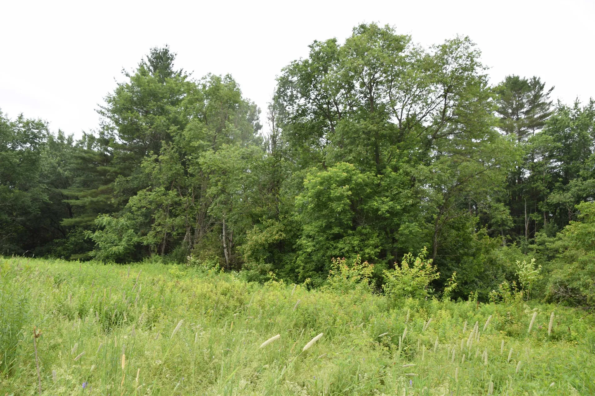 North Main Street Lancaster NH 03584