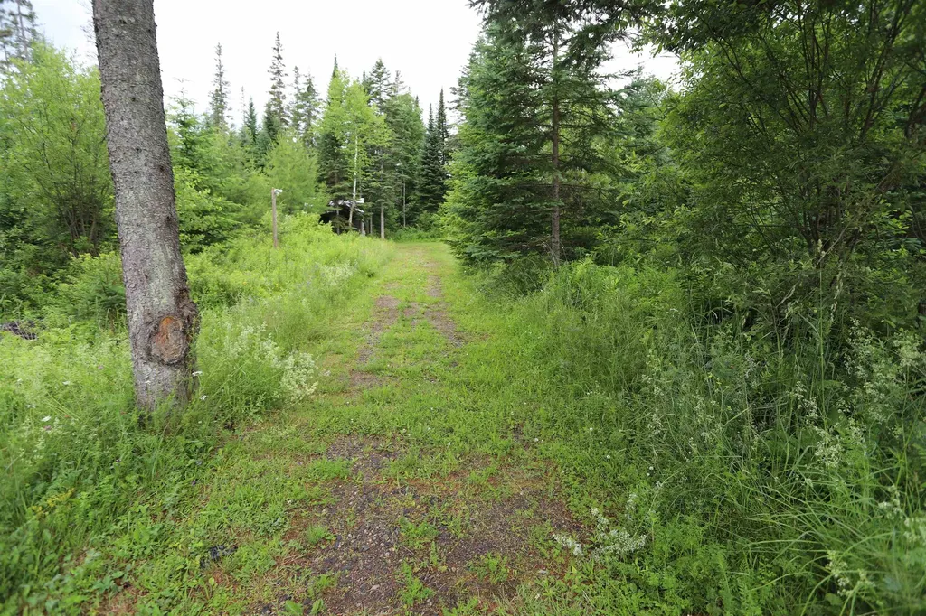348 Vt Route 5a Westmore VT 05860