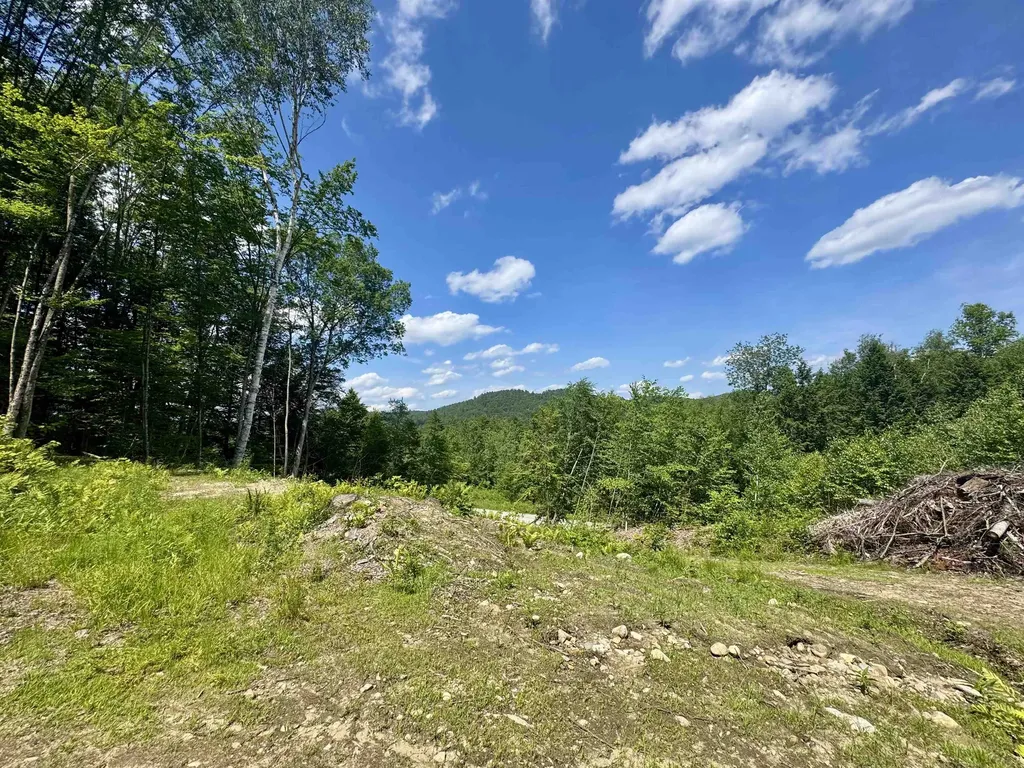 0 Remington Road Chester VT 05143