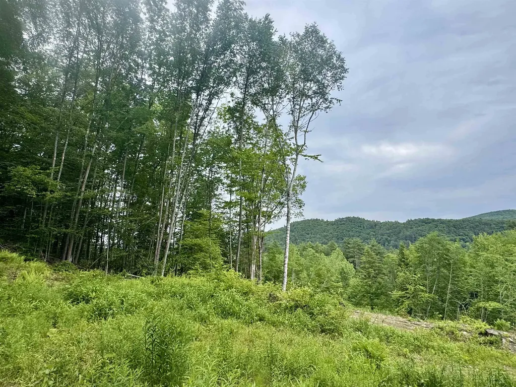 0 Remington Road Chester VT 05143