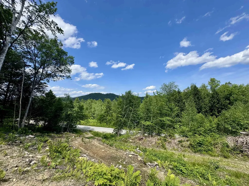 0 Remington Road Chester VT 05143