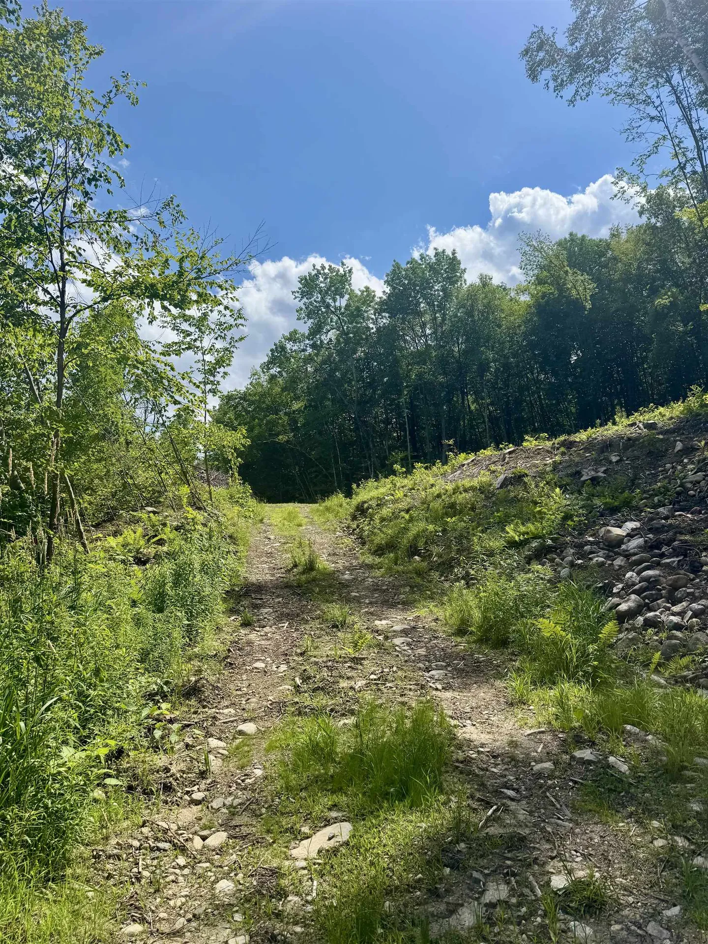 0 Remington Road Chester VT 05143