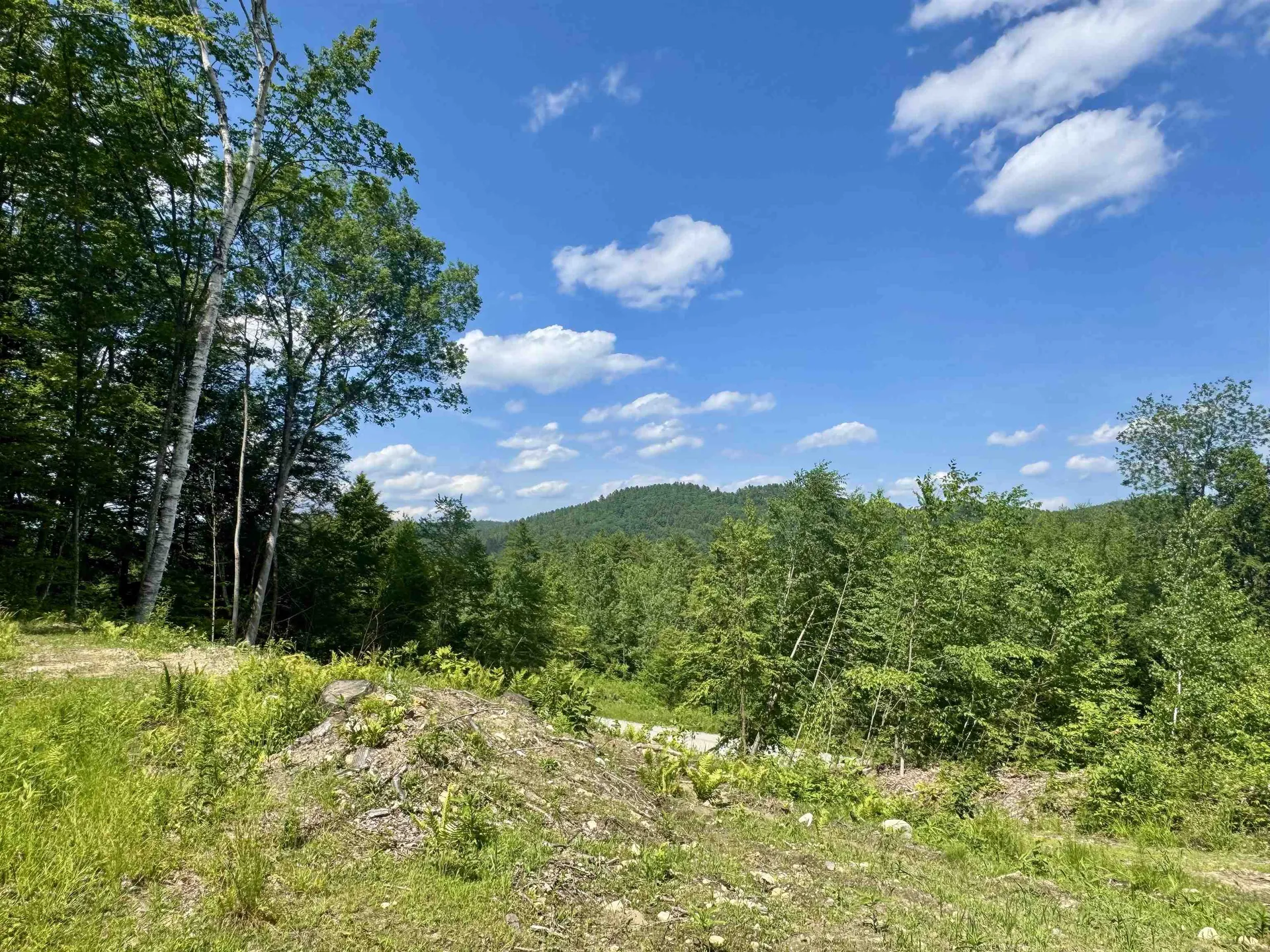 0 Remington Road Chester VT 05143