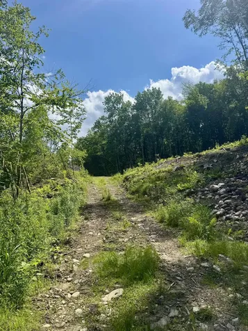 0 Remington Road Chester VT 05143