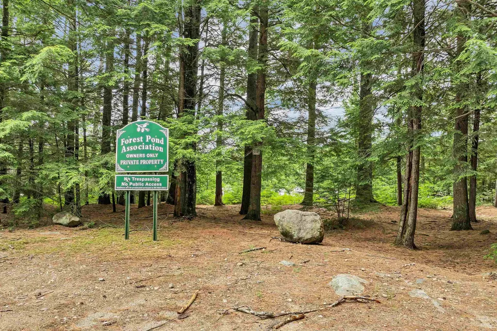 42 Forest Pond Road New Hampton NH 03256