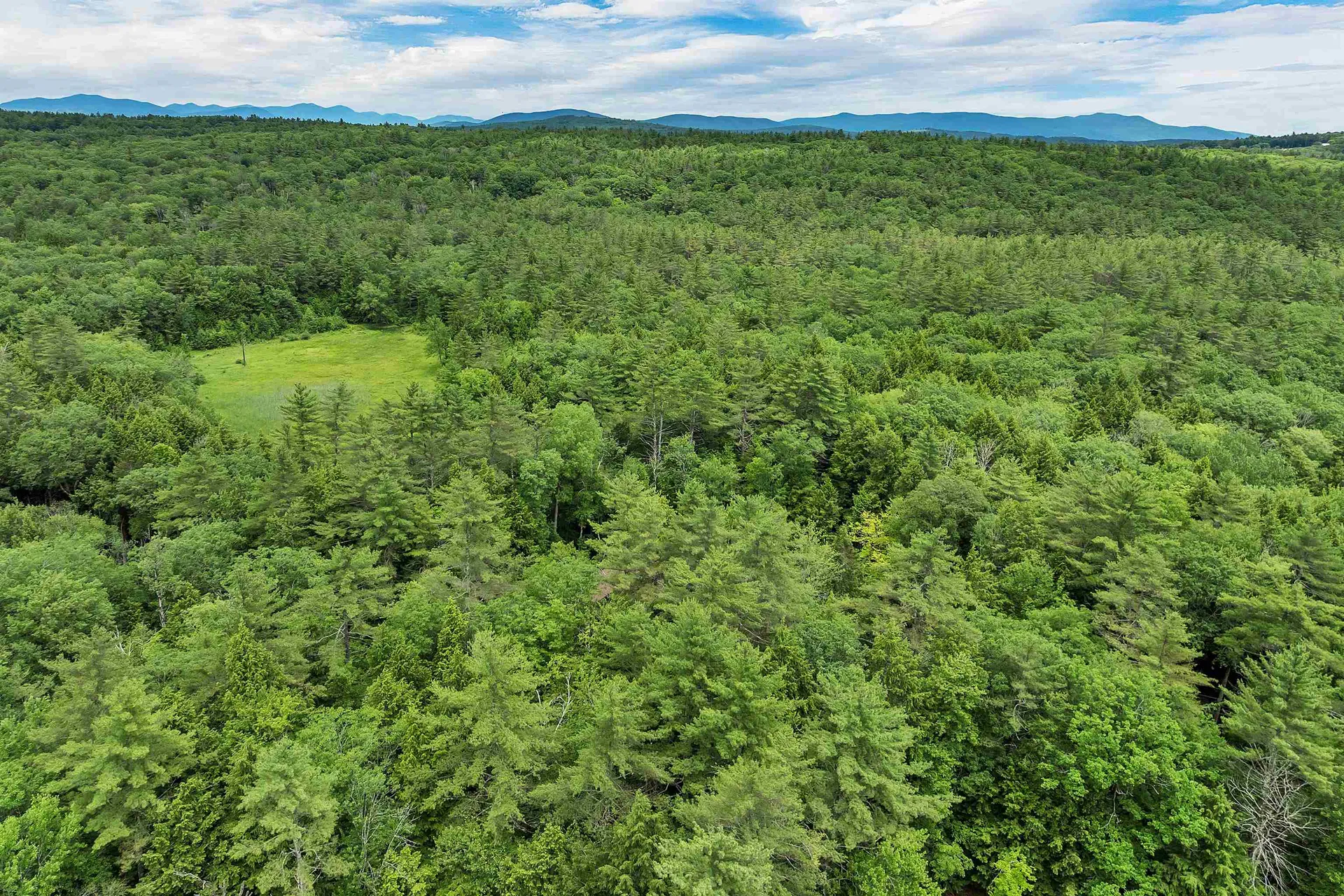 42 Forest Pond Road New Hampton NH 03256