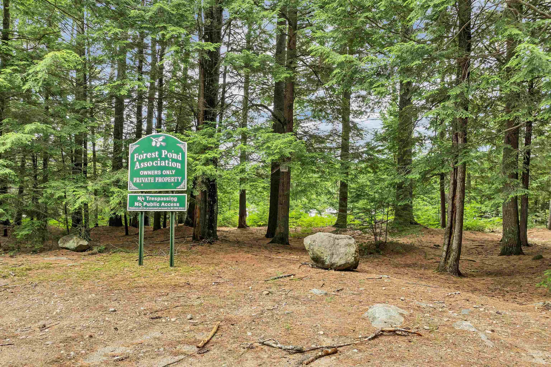 42 Forest Pond Road New Hampton NH 03256