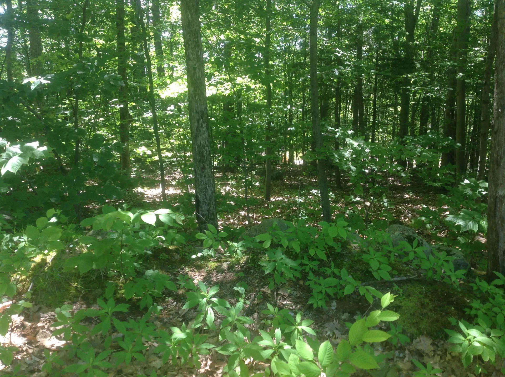 72-3 Frohock Brook Road Alton NH 03809-0