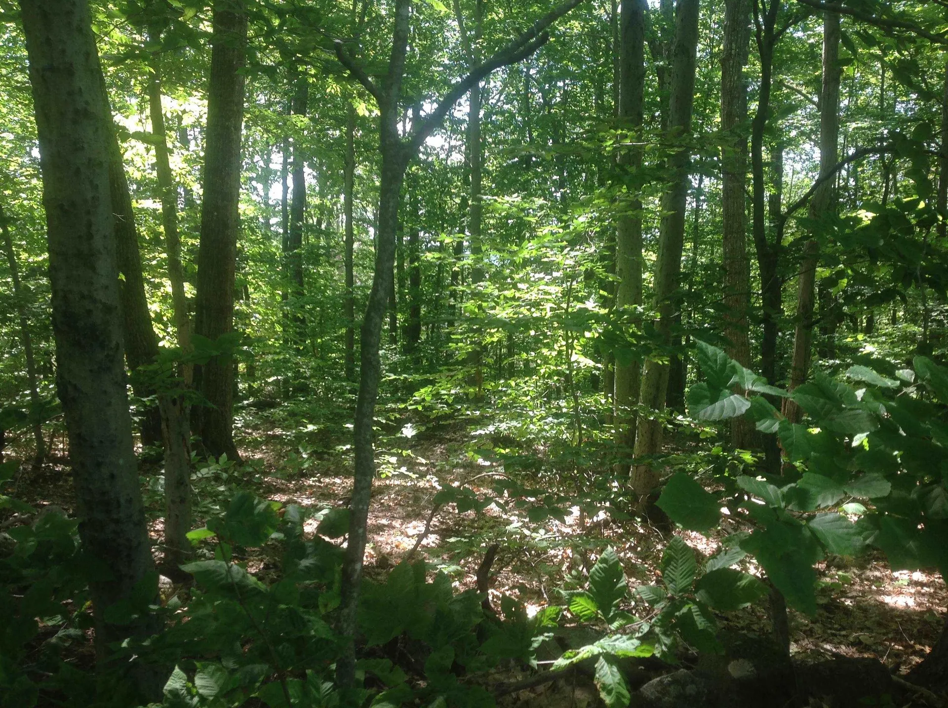 72-3 Frohock Brook Road Alton NH 03809-0