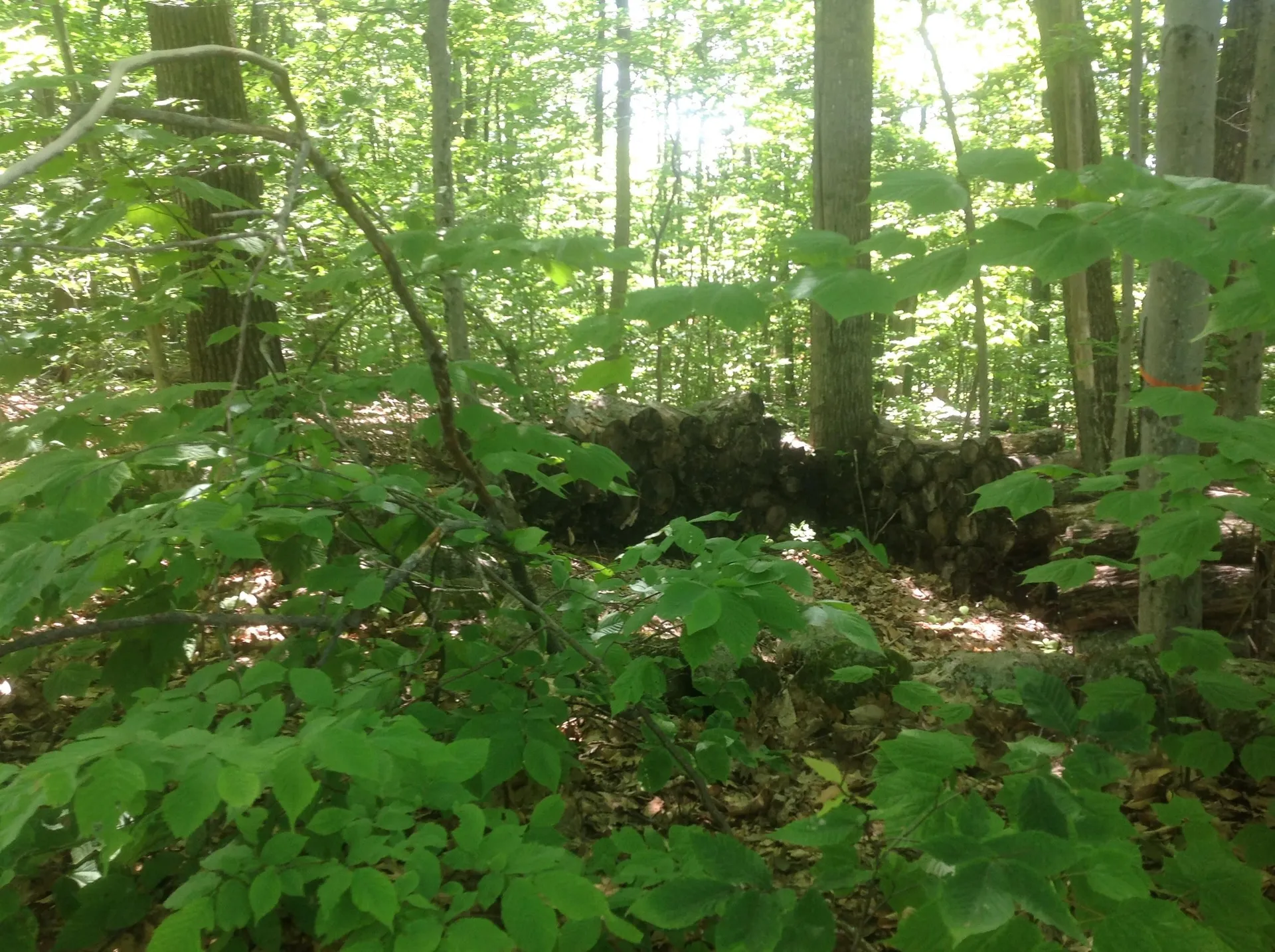 72-3 Frohock Brook Road Alton NH 03809-0