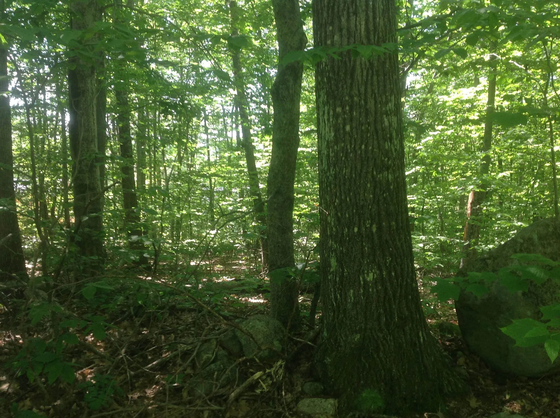 72-3 Frohock Brook Road Alton NH 03809-0