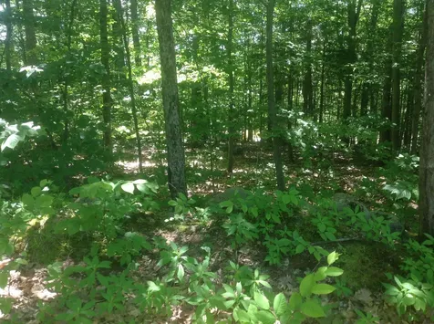 72-3 Frohock Brook Road Alton NH 03809-0